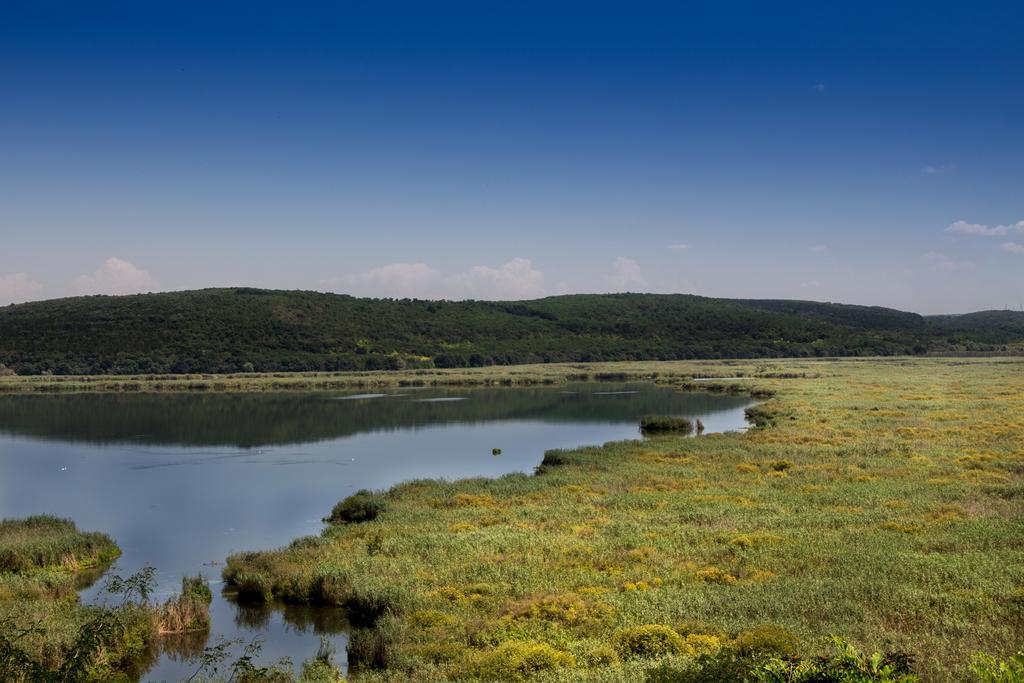 Srebarna Lakeview Apartments Srebŭrna Dış mekan fotoğraf
