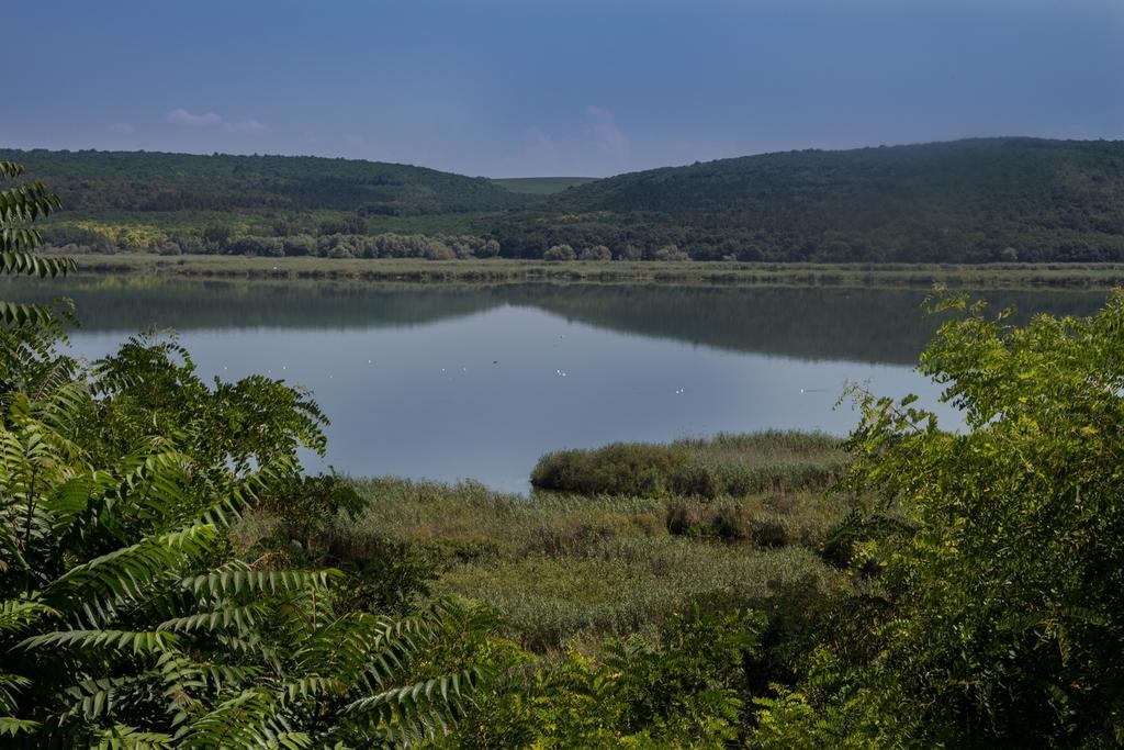 Srebarna Lakeview Apartments Srebŭrna Dış mekan fotoğraf