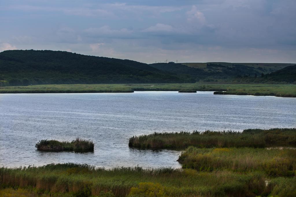 Srebarna Lakeview Apartments Srebŭrna Dış mekan fotoğraf