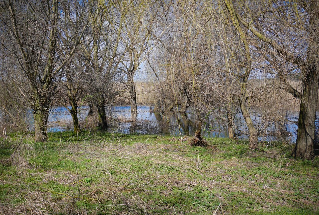 Srebarna Lakeview Apartments Srebŭrna Dış mekan fotoğraf