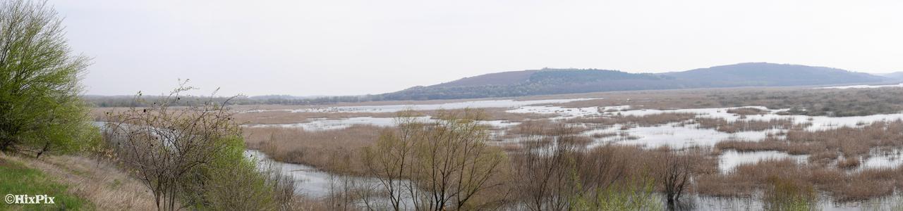Srebarna Lakeview Apartments Srebŭrna Dış mekan fotoğraf